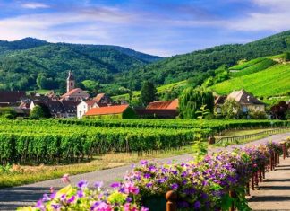 Khám phá những địa điểm du lịch nổi tiếng tại vùng Alsace Pháp Khám phá những địa điểm du lịch nổi tiếng tại vùng Alsace Pháp