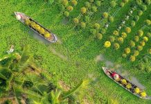 Review kinh nghiệm đi tour du lịch Đồng Tháp 1 ngày từ A – Z Review kinh nghiệm đi tour du lịch Đồng Tháp 1 ngày từ A - Z