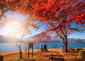 Vẻ đẹp thơ mộng đầy lãng mạn của hồ Kawaguchi nổi tiếng Nhật Bản